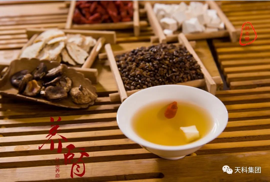 《中(zhōng)國茶療微生(shēng)活》— 中(zhōng)藥代茶飲怎麽樣服用效果最好？